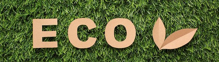 Brindes Eco-Friendly com Embalagens Sustentáveis O Novo Padrão