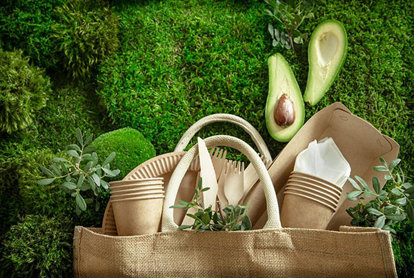 1701 Brindes Eco-Friendly com Embalagens Sustentáveis O Novo Padrão