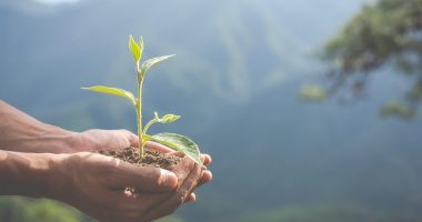 Brindes Personalizados com Certificação de Sustentabilidade Vale a Pena