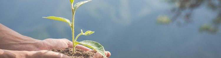 Brindes Personalizados com Certificação de Sustentabilidade Vale a Pena