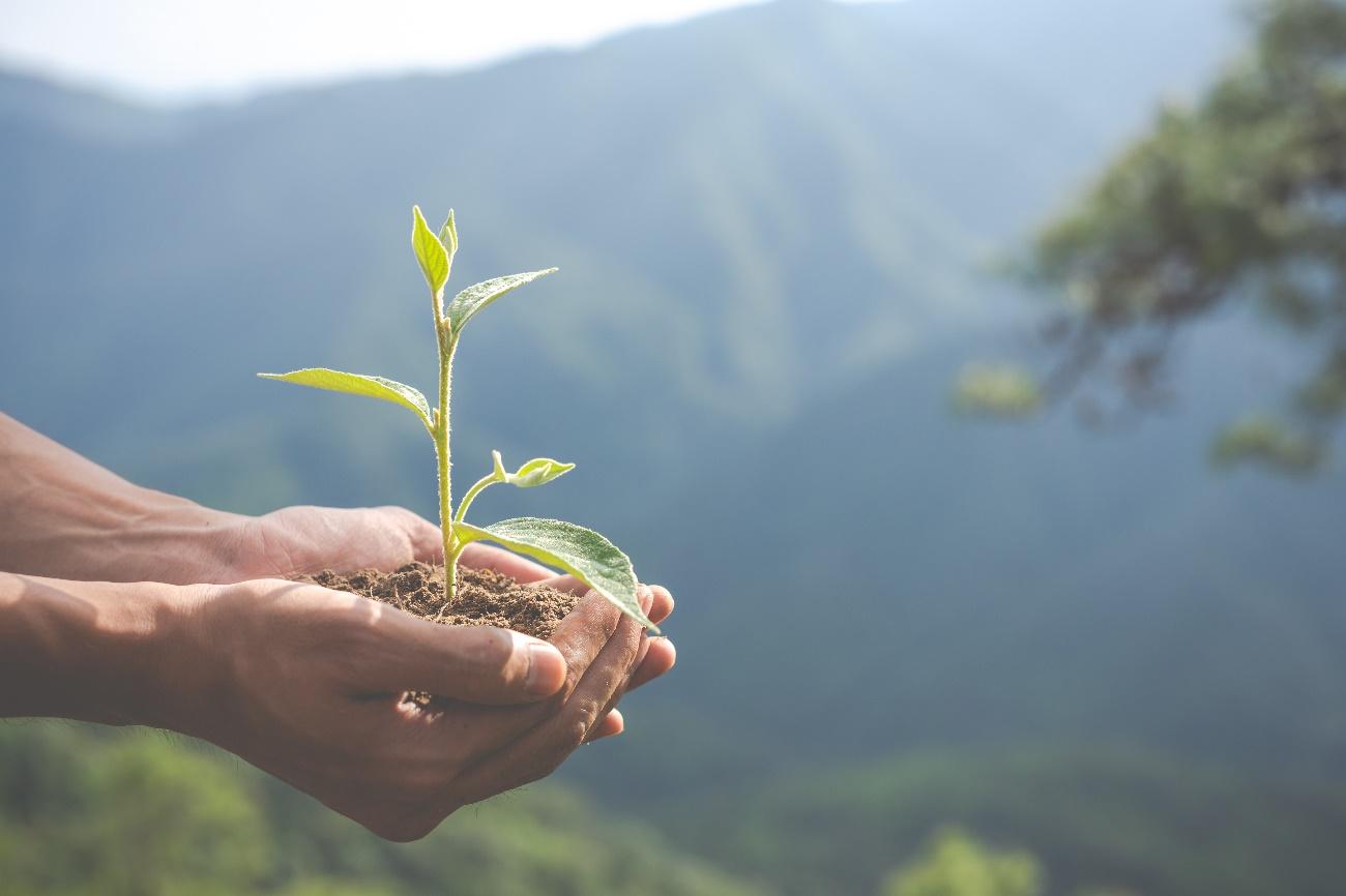 Brindes Personalizados com Certificação de Sustentabilidade Vale a Pena