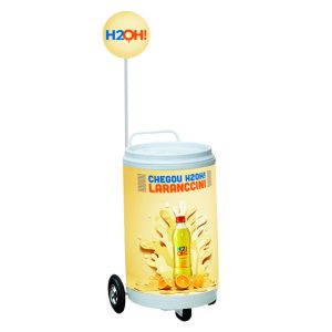 Carrinho Cooler Testeira e Balão